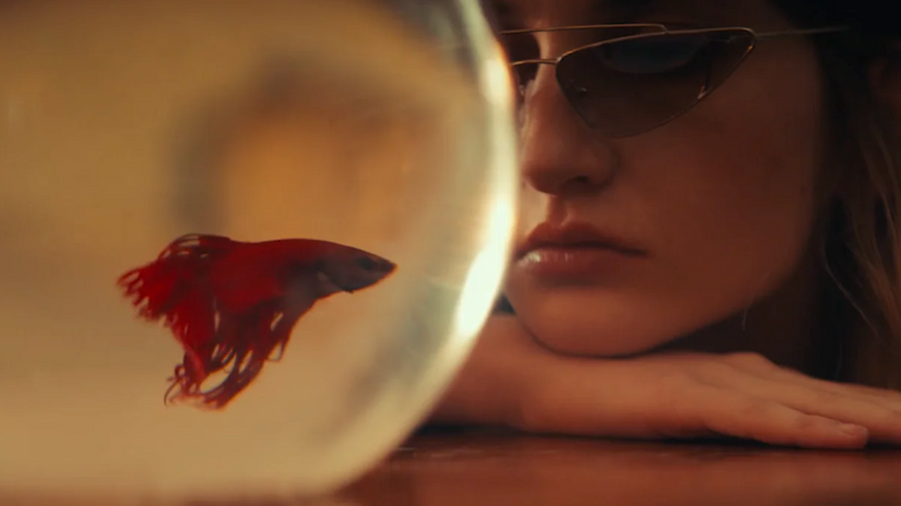 PRADA | Amber Grace Johnson